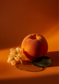 Rgym Ambré product image