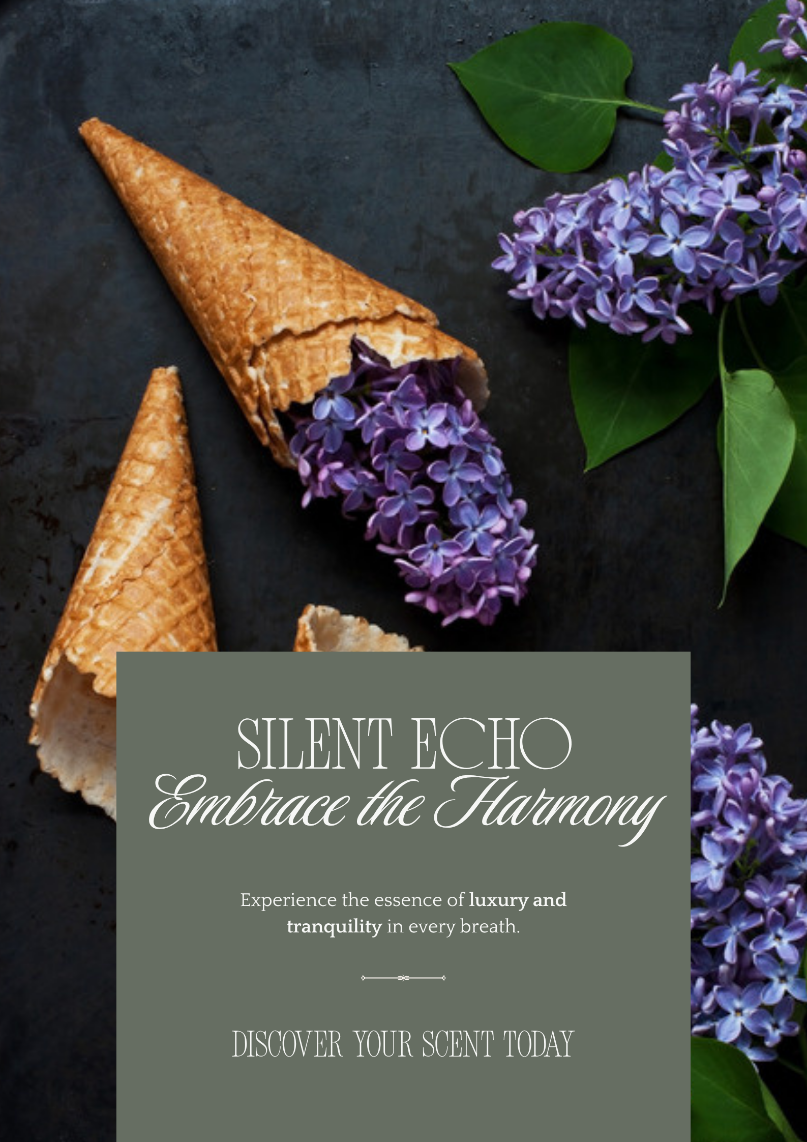 Silent Echo product image