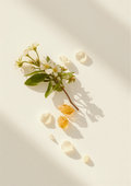 Paradox Bloom product image