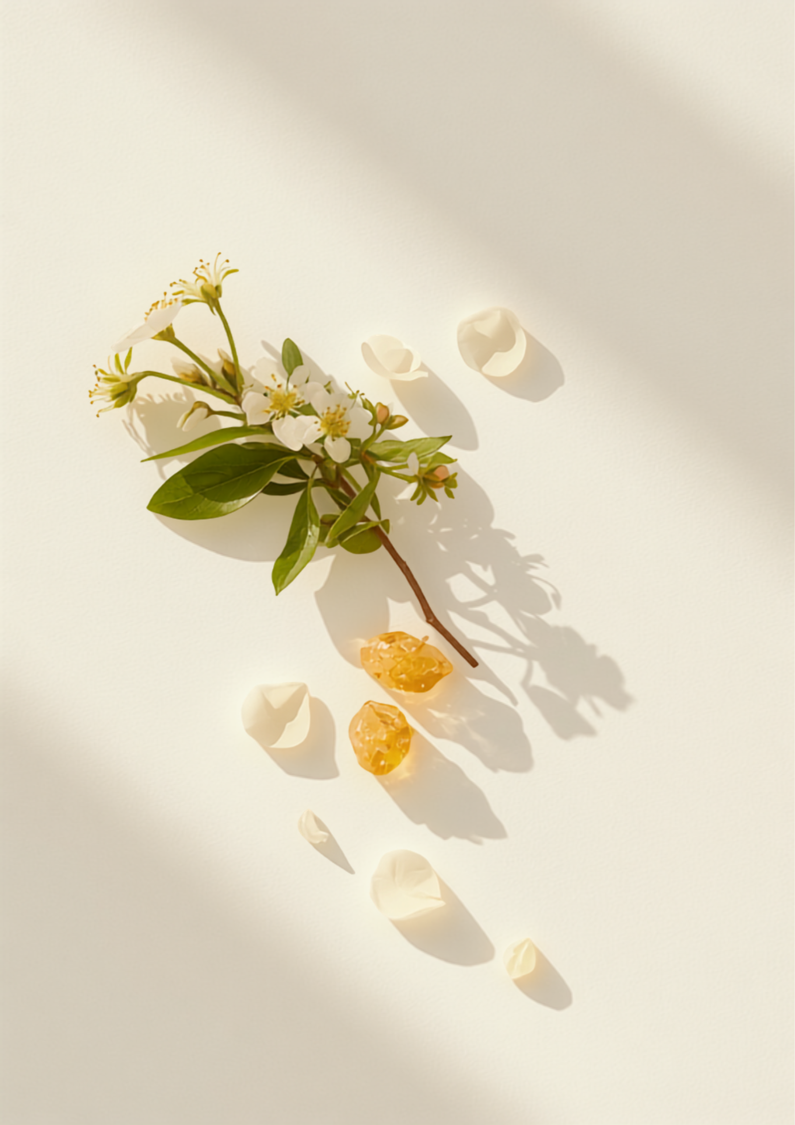 Paradox Bloom product image