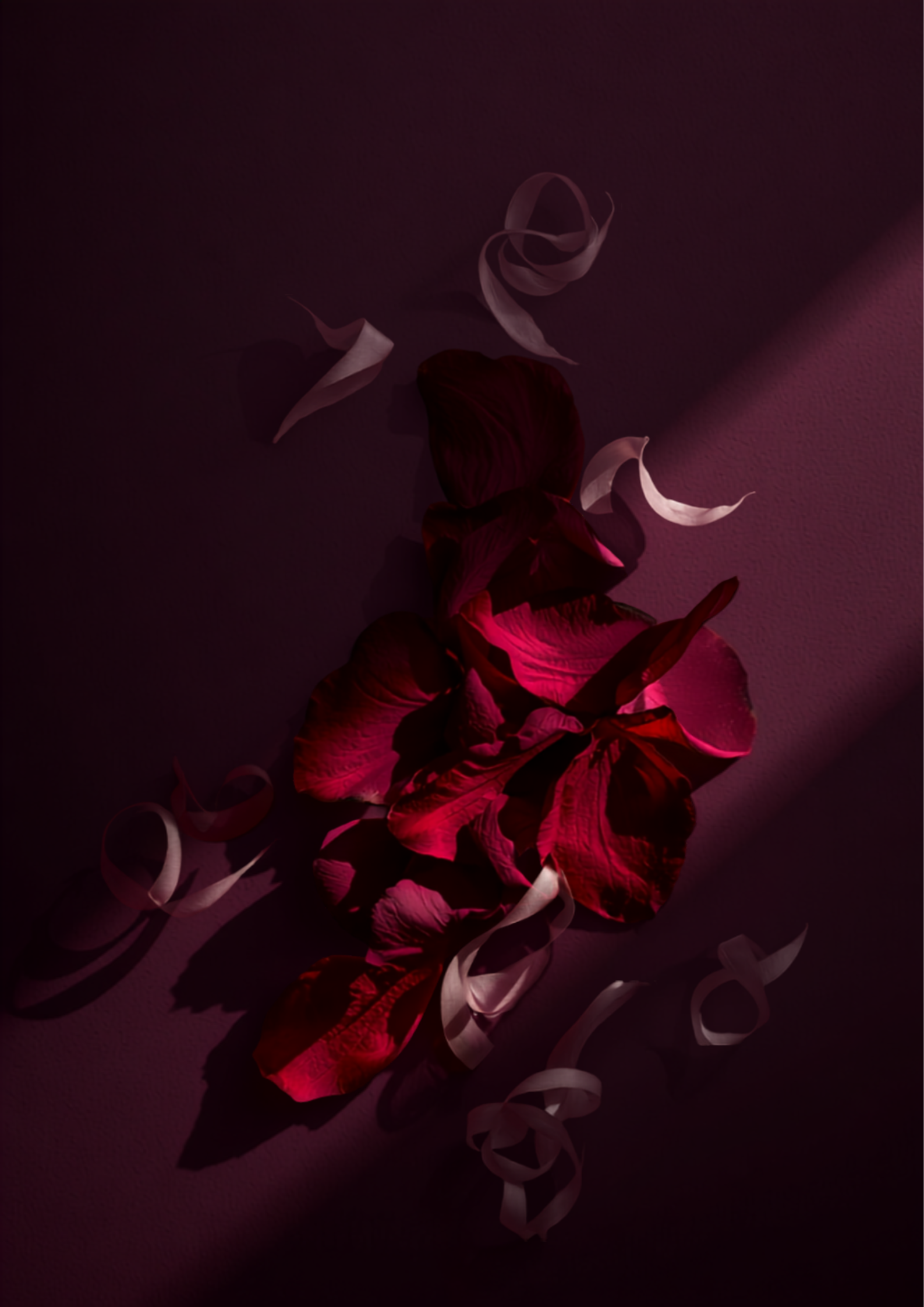 Delirium/Ecstasy Noir product image
